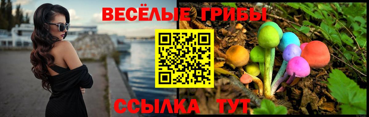 Галлюциногенные грибы Cubensis  Вход с VPN  Ипатово 